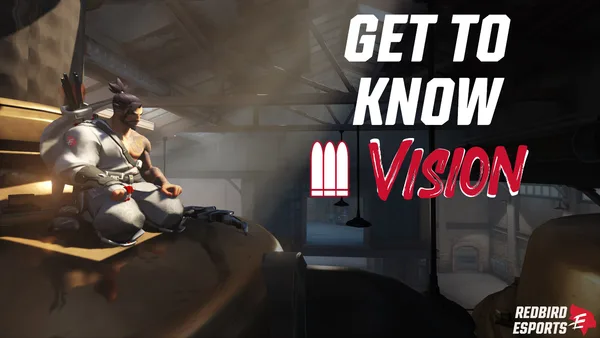 Get to Know Vision